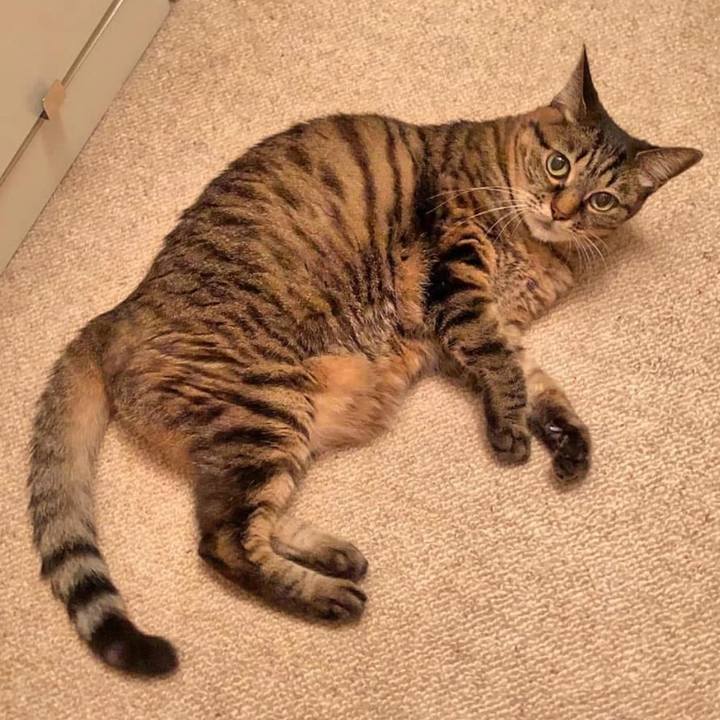 40df41d8 d394 460f 84c7 e54b95217875 1760045662520