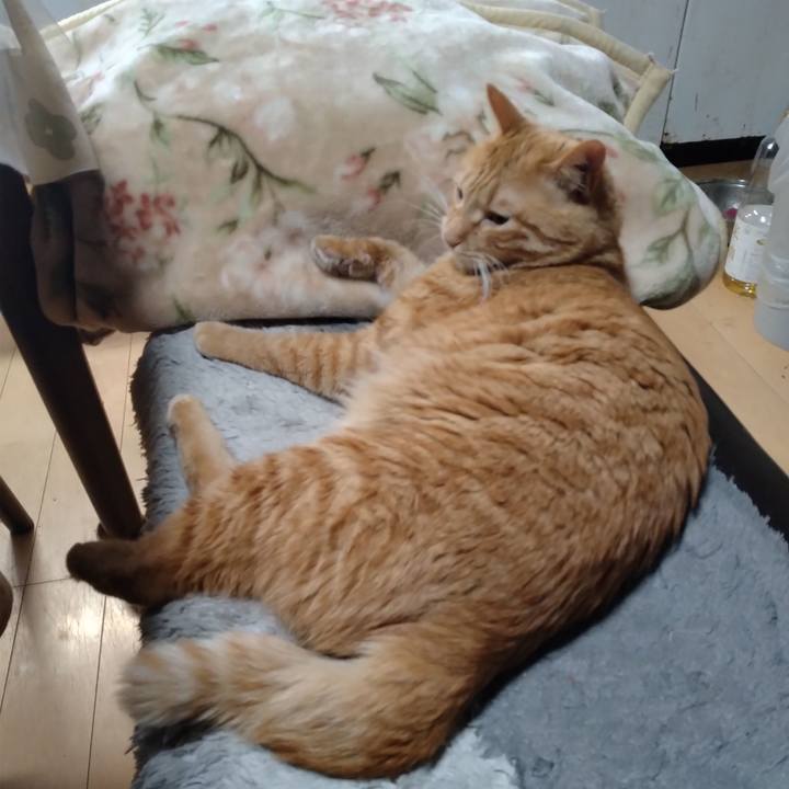 40df5424 8936 43c8 9518 367881586262 1672613799669