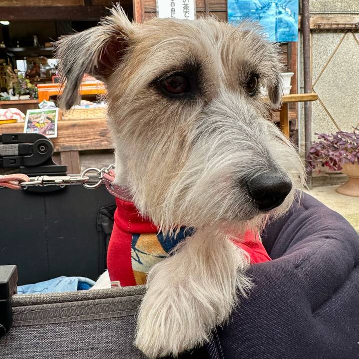 40df7226 c371 4a5f 97ef 4dfc2e36a4fa 1697467000573