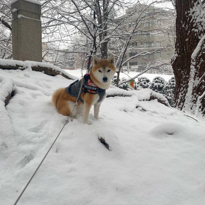 40df764b 5f04 4312 bdf5 216620d3579a 1669854981935