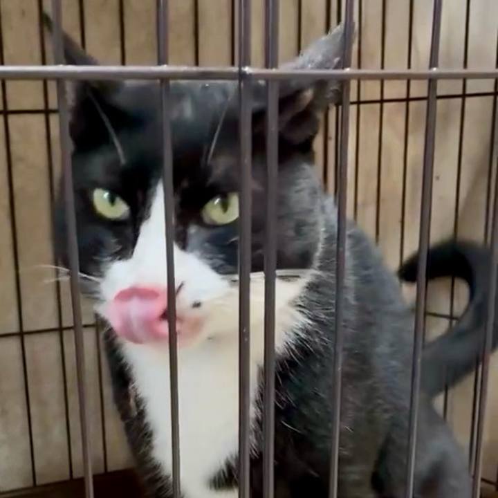 40df97e0 2135 4946 91cd 0c5dafe6cef3 1753708399467