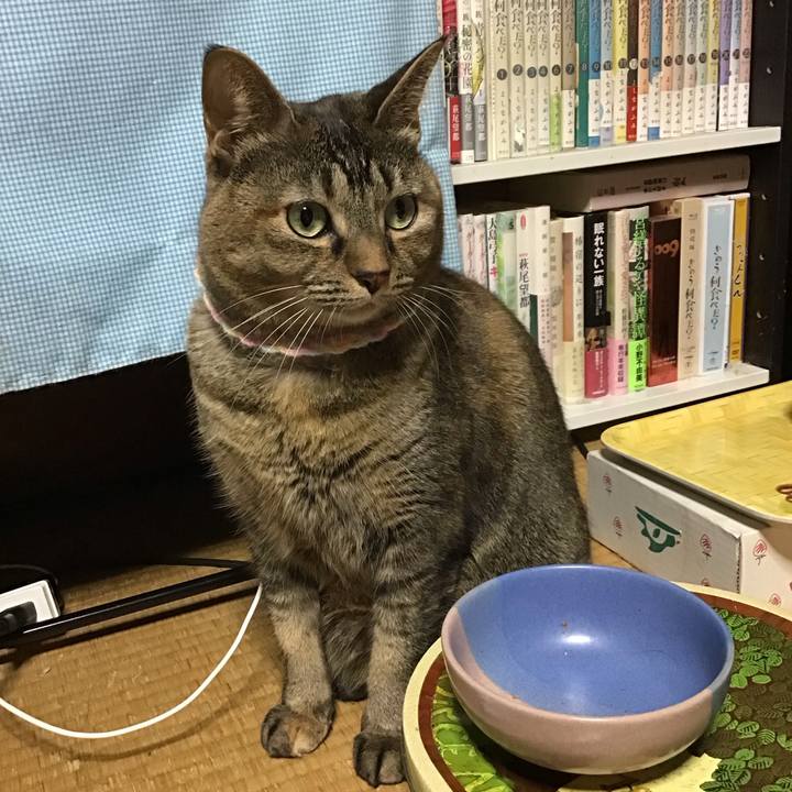 40dfa1eb c6bd 4961 b8a0 7262300ac56a 1700828387482