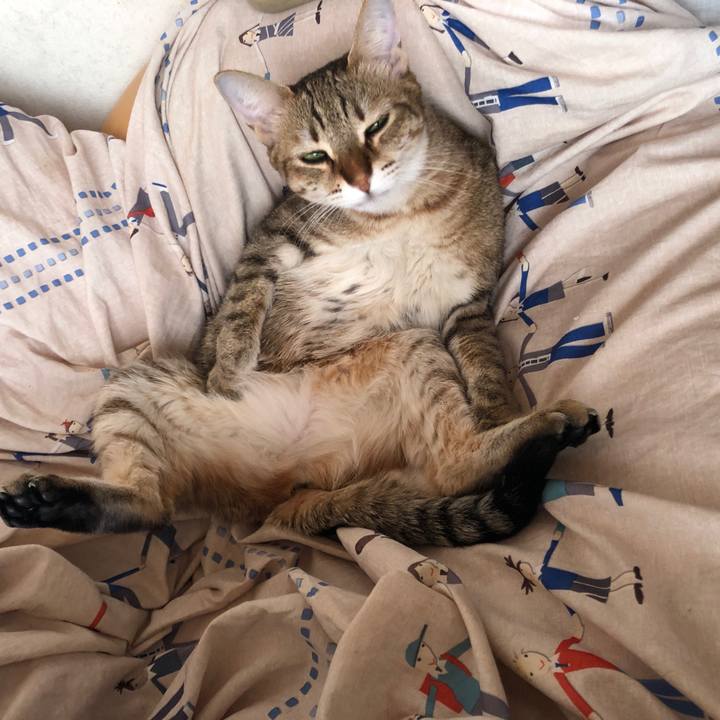 40dfaae4 9aee 45fb b3af 34dd9c820ab3 1637327536175