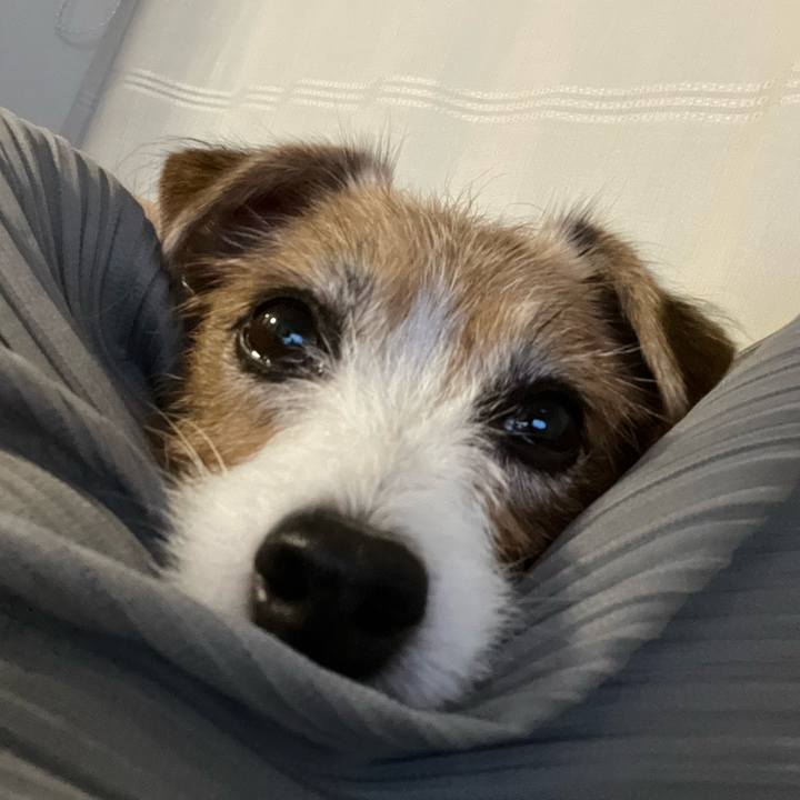 40dfd1b1 768c 4c25 af4c 221cb5835ae2 1698410652270