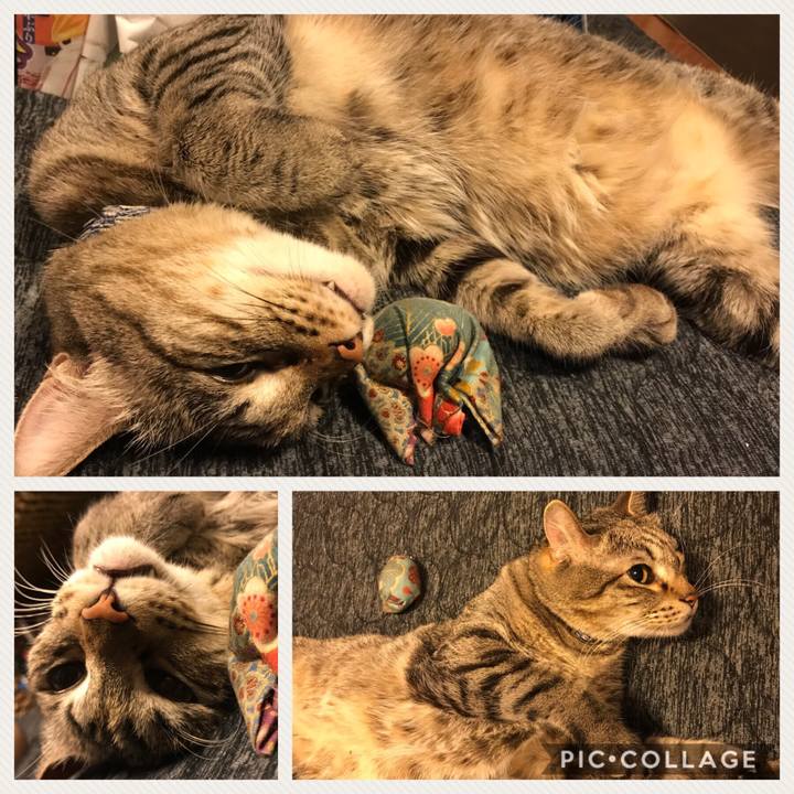 40dfe312 24c6 419e 8b49 7094d34c849b 1528645017330