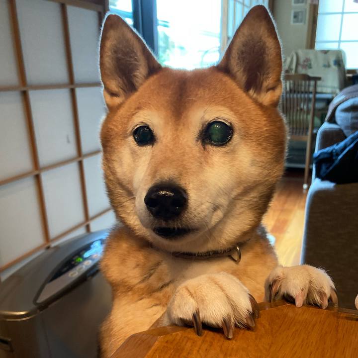 40e023c6 6aaa 4dcc 9da6 f95cf3047361 1634893844319