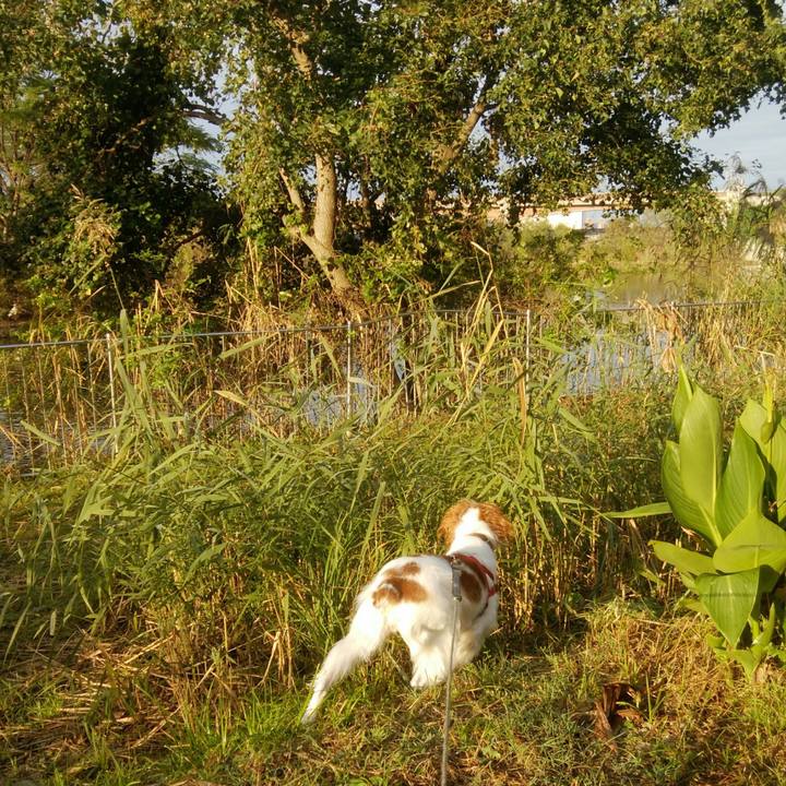 40e05c00 7793 4433 953a 5d6a7596e5b9 1541034441367