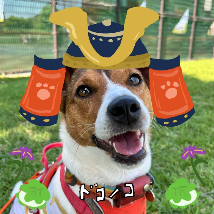 40e06a66 93c3 4b32 b299 3df45d6c0002 1714965715643