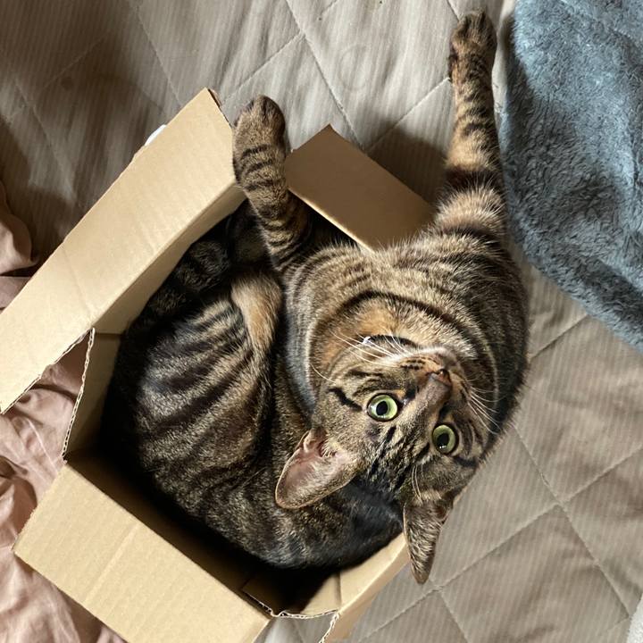 40e06e16 1001 40ab bd49 c87a6cfd09f6 1590845065914