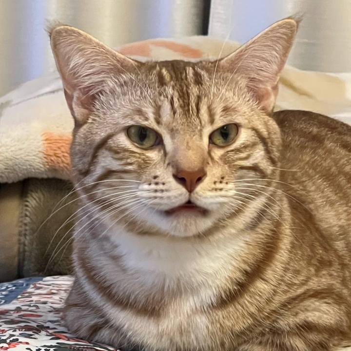 40e079ad 1198 4291 8c60 a7bedf496963 1669295871822