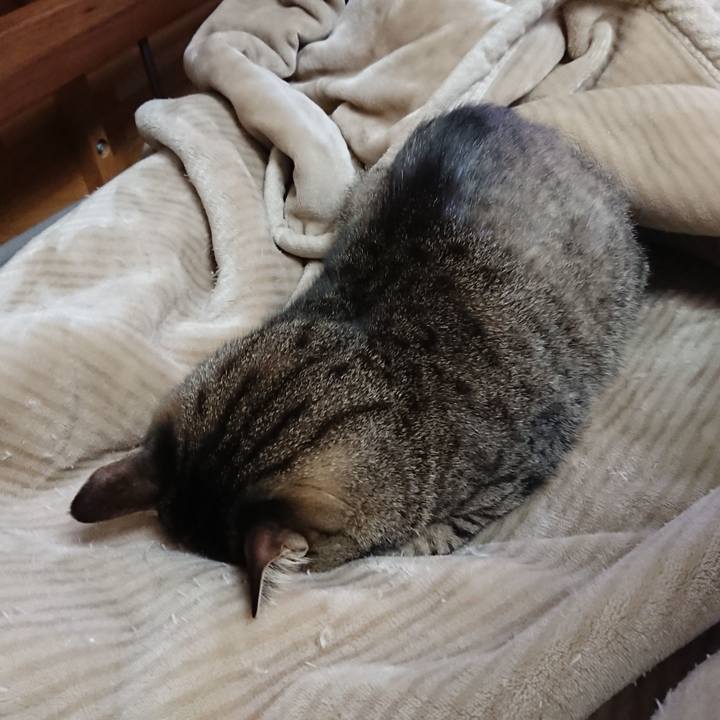 40e08930 a302 4806 b33c 4acf9fb8df75 1578236119143