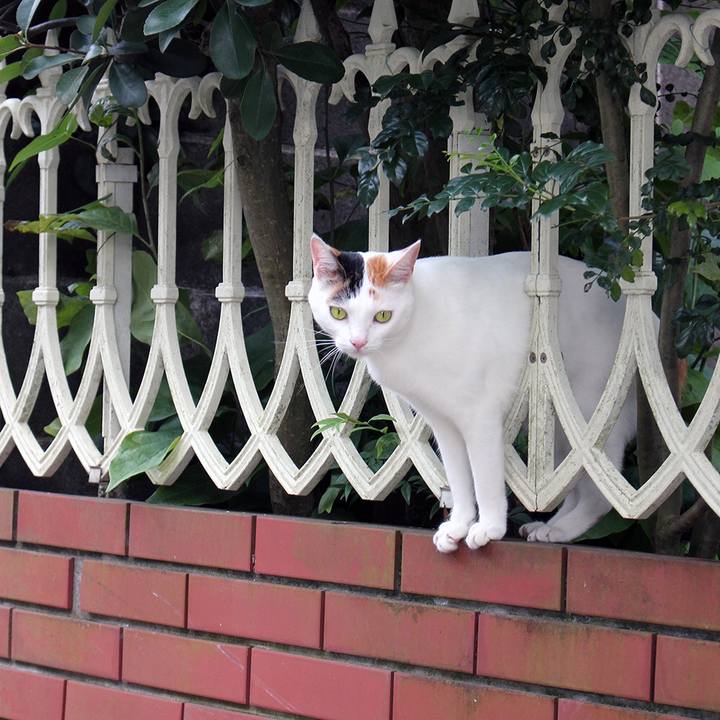 40e08eeb e0f2 4344 b26e 54042c382d0d 1598916489269