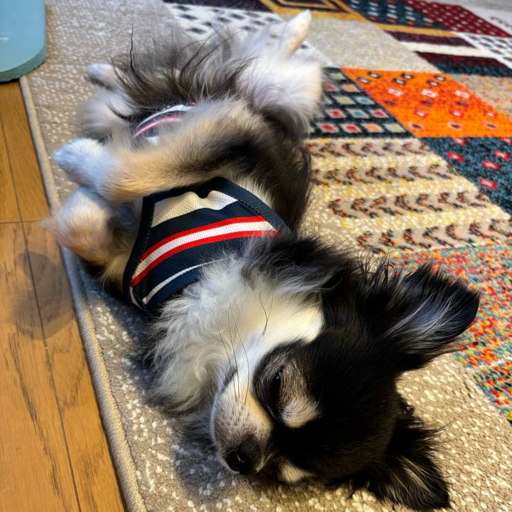 40e0bbc5 a6cf 4fed bb5e fed81df75627 1722785621505