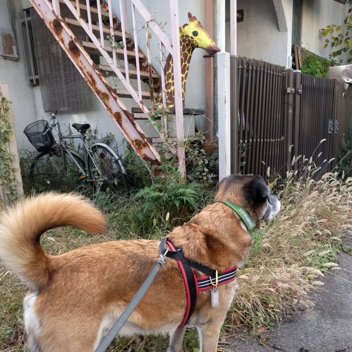 40e0f188 b4ab 420e 8136 431b8b73663f 1753055687094