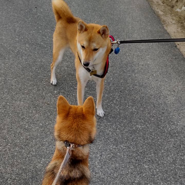 40e0f6b9 f1d5 408c be49 0bb909f2cf78 1628634836119