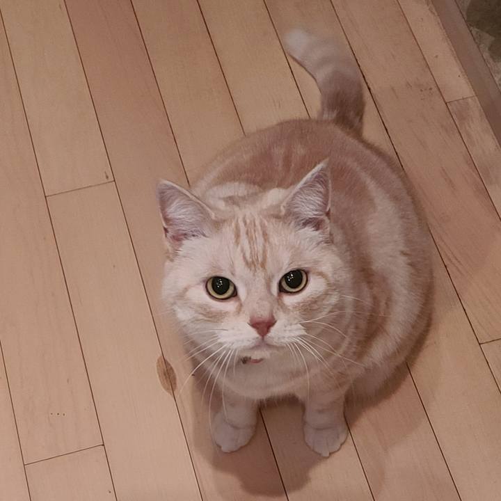 40e0fc97 f547 493f a9b6 f3e2e0b56ff8 1675373080034