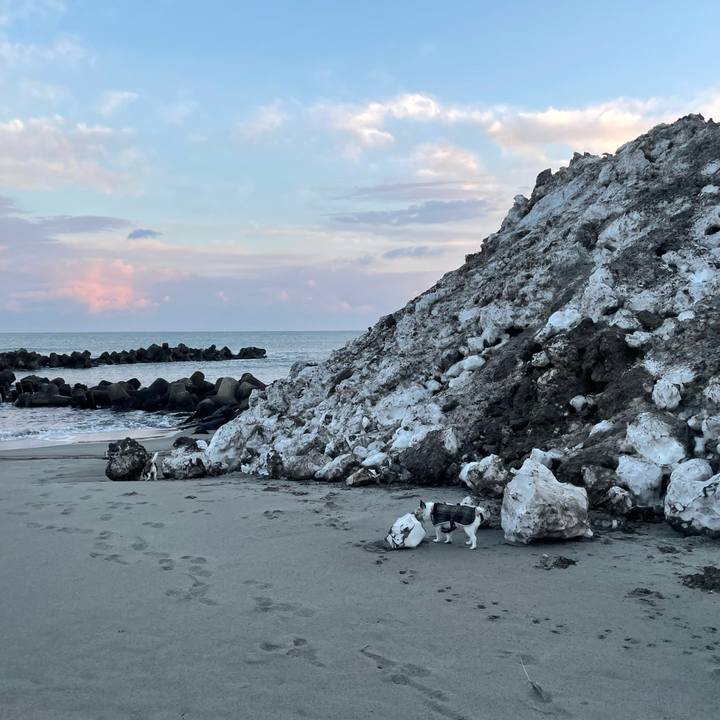 40e12a02 e0c5 43a3 911d 6c35efda28c4 1770274409606