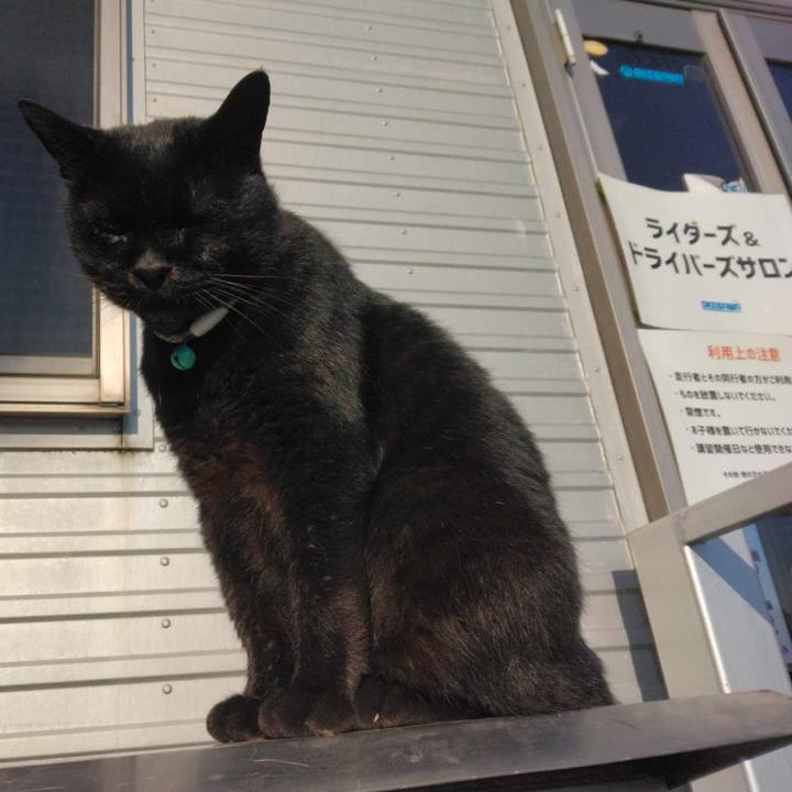 40e153b4 e01c 45d4 a354 8ca6dfe8950c 1699060493501