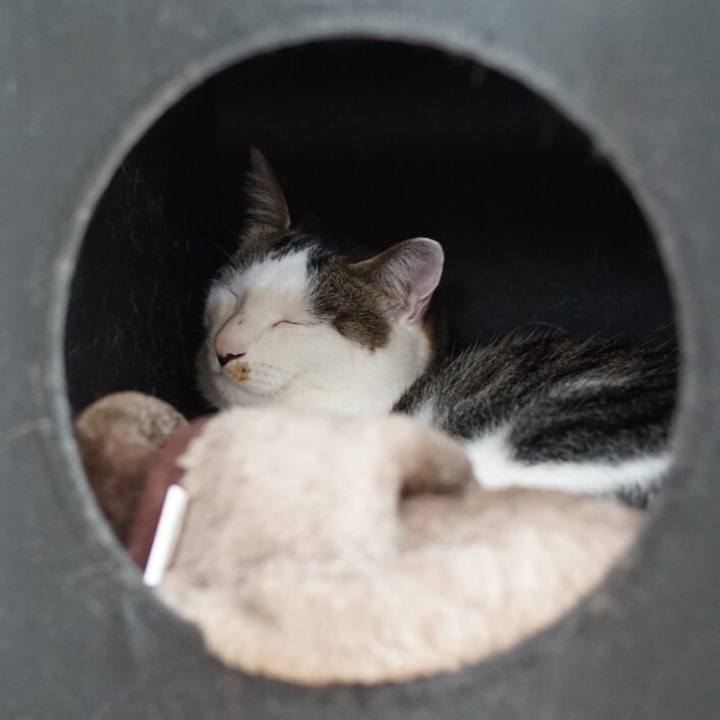 40e15aa1 f3e8 4c90 924b ccde7b85621a 1526825614674