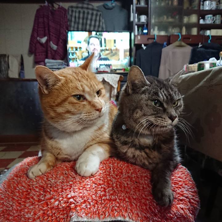 40e17d88 a6f3 425d 9986 6e3163741794 1580597825623