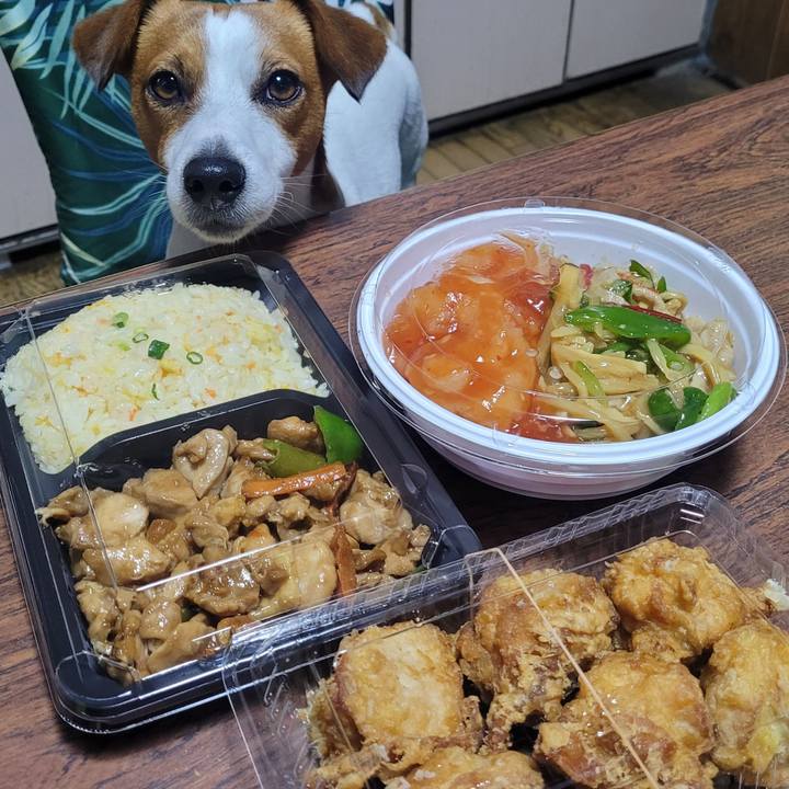 40e1912c a1f0 43f7 b726 658ef48687c0 1654603702264