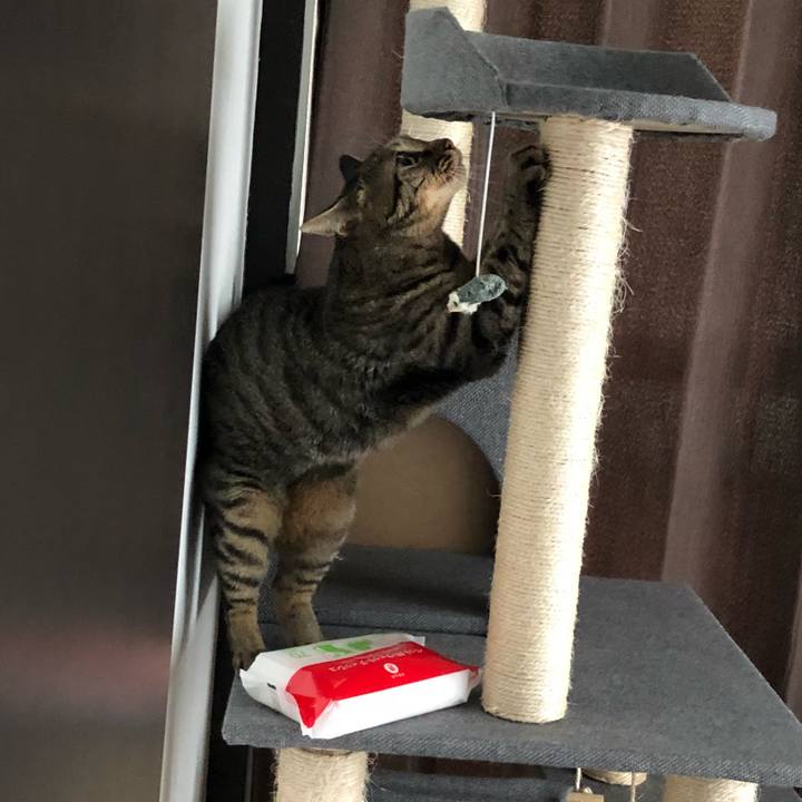 40e1935a 5be3 4290 9a8f f63d2114cb31 1535417023866