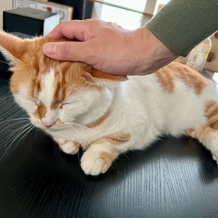 40e19b37 784b 49a8 b687 e32cfa791bc3 1758771455976