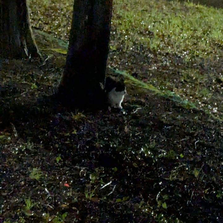 40e1d7ca e86e 4362 b842 d92fe4f1ac7a 1754842887368