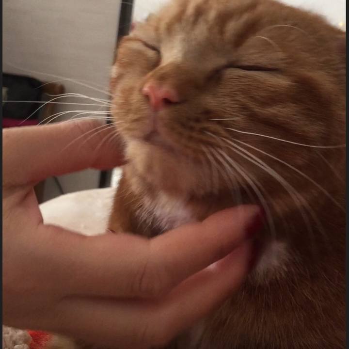 40e1f2cd 9146 48ea bf37 0664fc3d387c 1509674142923