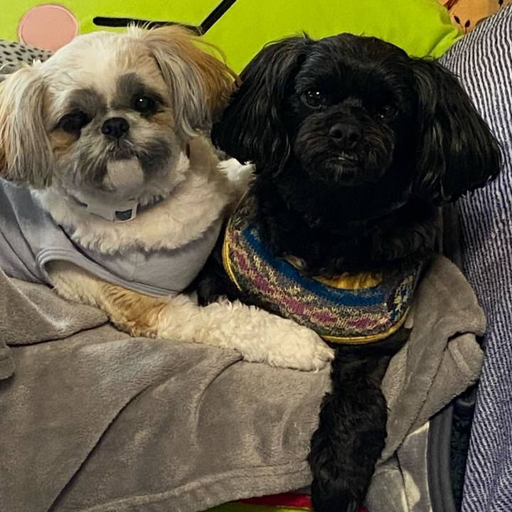 40e217b6 123f 4193 a1ef 844a8ae01a54 1670553318503