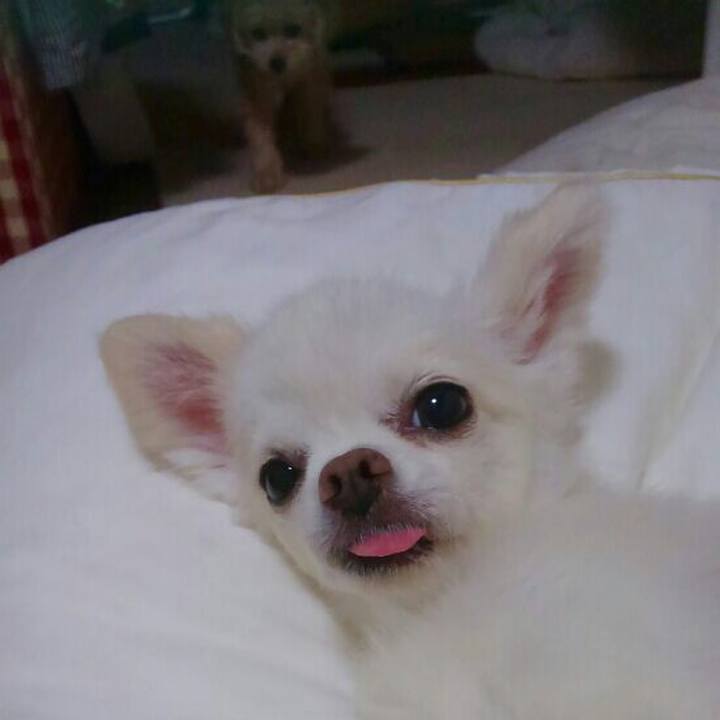 40e26281 ca89 4b66 b4b6 72fd01dee42d 1562935053645