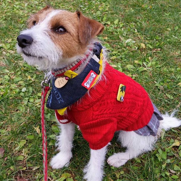 40e28ea5 9b6c 4ce5 a9f3 de9ef035e9ef 1541926642655