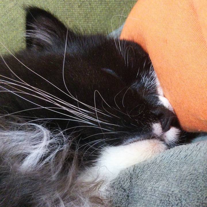 40e2c4d0 ed31 41b7 9a4b 3e2ab9f13513 1660808819060