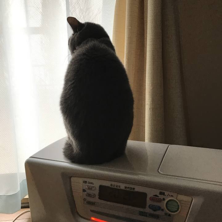 40e2dfff 655b 428d bc8d b508b77f6d47 1517097603359