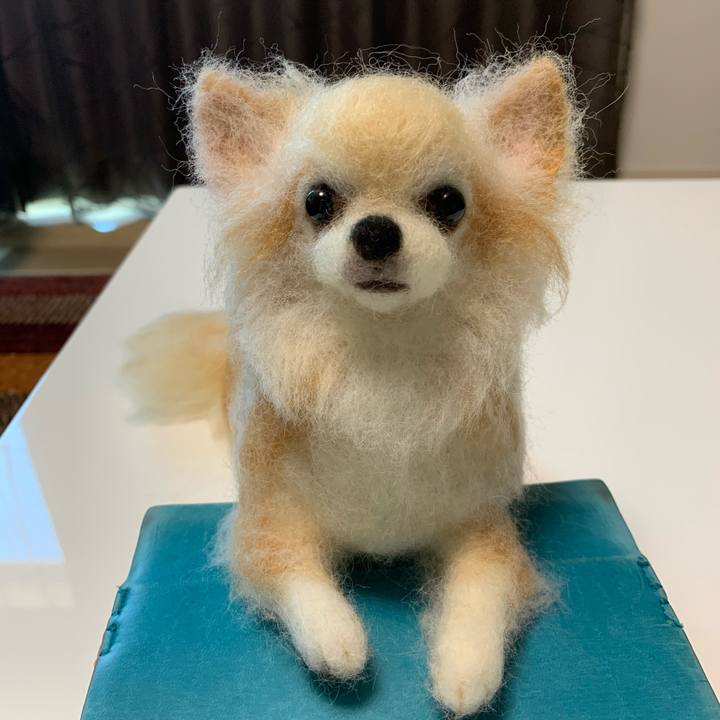 40e2e7a1 5611 4c6c 8cb9 84eb2141a8af 1590295517158