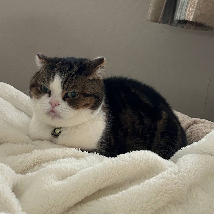 40e2ea92 3310 481f be4c 53ed8552acd2 1774212352974