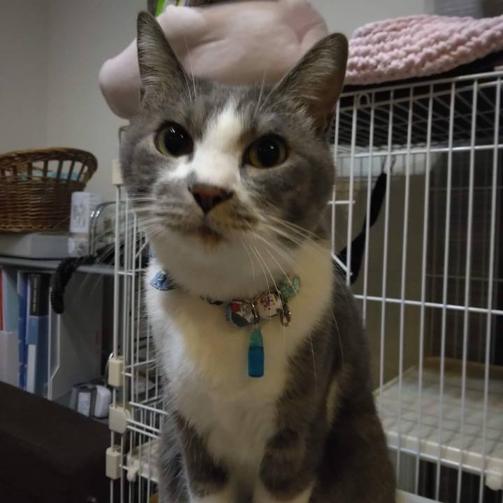 40e304d8 5c67 4cfe 811c c8bf60646b41 1667213579821