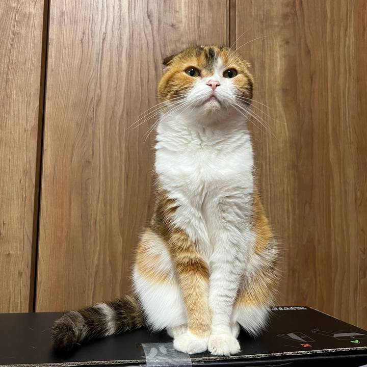 40e33273 dc1c 44c7 bbd0 138683c7500d 1654253513261