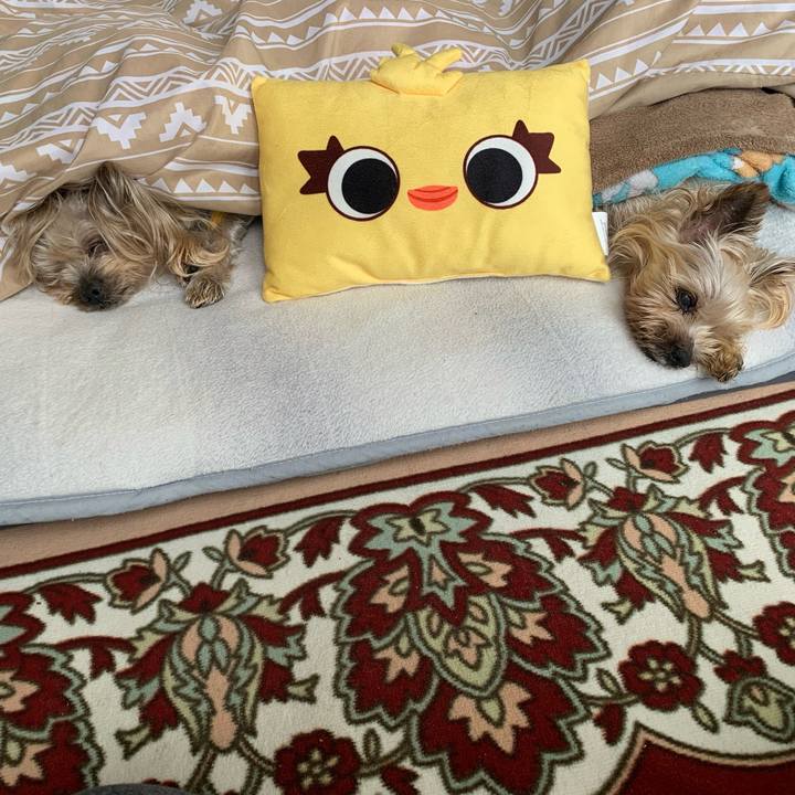 40e33fa7 a149 4076 9c6e 10ef6726cba1 1707990756848