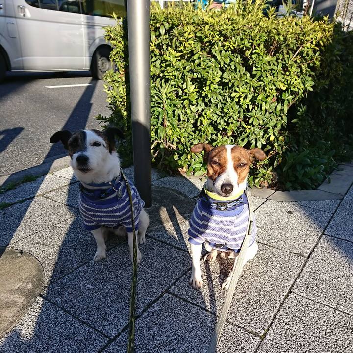 40e3b166 3687 40cb 83b5 3729331e2ccc 1585087287818