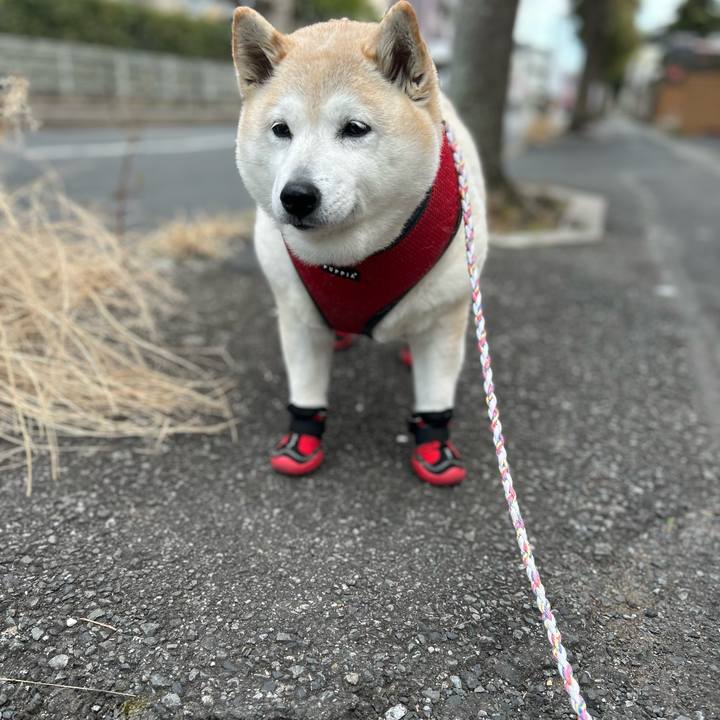 40e3cadf f038 477f a88a c2eab0cf8689 1738130388894