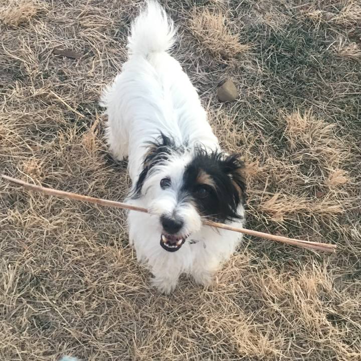 40e3df13 c162 46d0 baa8 c78e26581bfc 1514413905693