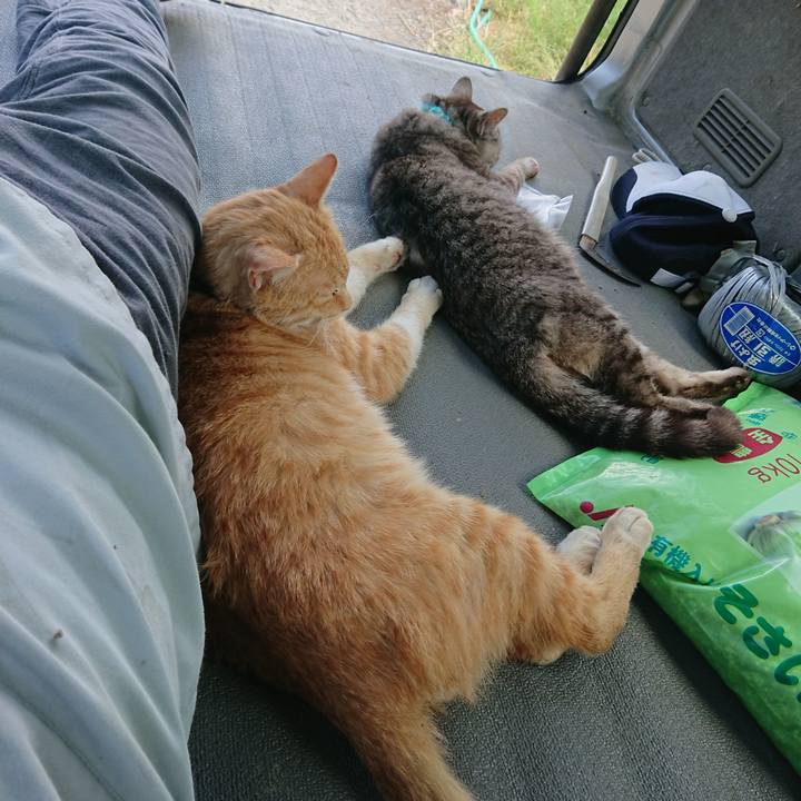 40e3e34d 4a8a 496c 9bcb 281cd7efa2e2 1559372010298