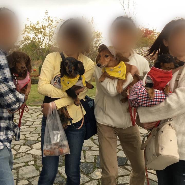 40e3f598 a04d 4334 9df2 a051c3f1be41 1509862146458