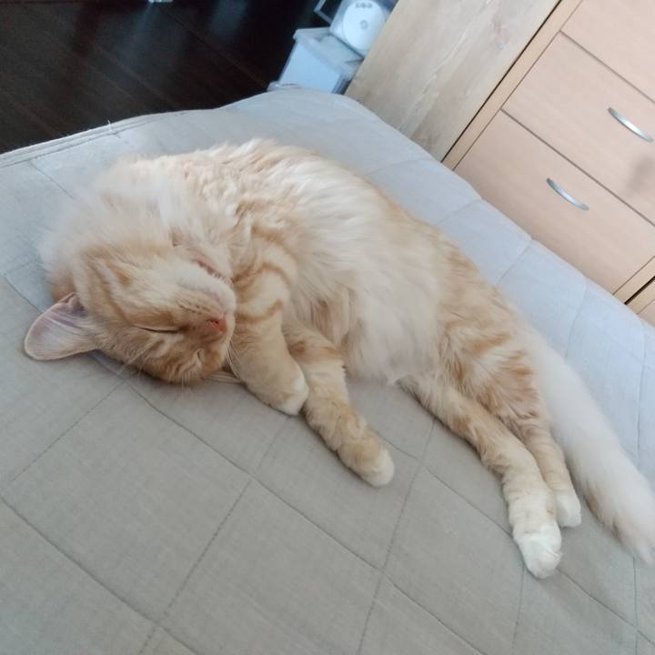 40e407c5 7011 462e a4b1 3a5fd681fa01 1628209540415