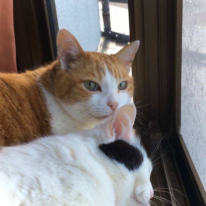 40e42ea2 6eea 4602 805b 81e3ff607f66 1616999085770