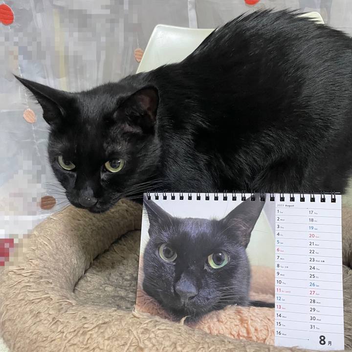 40e43e9c 0b44 44b7 a403 d8fb87b3cf4f 1693659329343