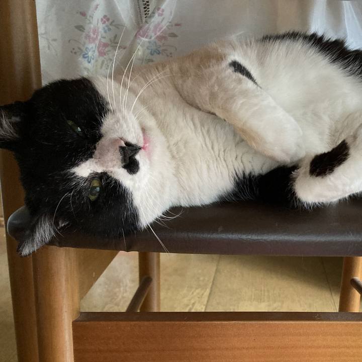 40e48fb0 8cf5 4656 a88b bdf17c33eff3 1674520527738