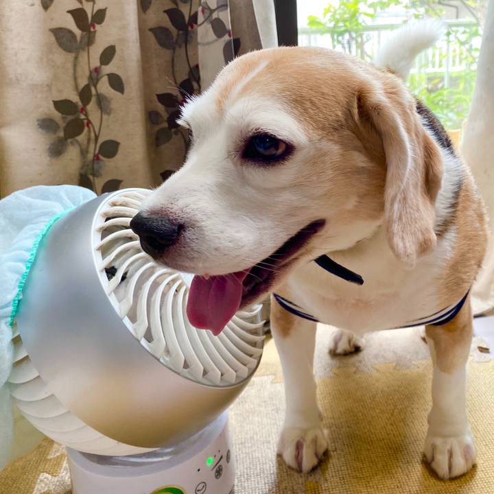 40e4a52c e887 4310 bd00 f4b3b37d009e 1594794980433