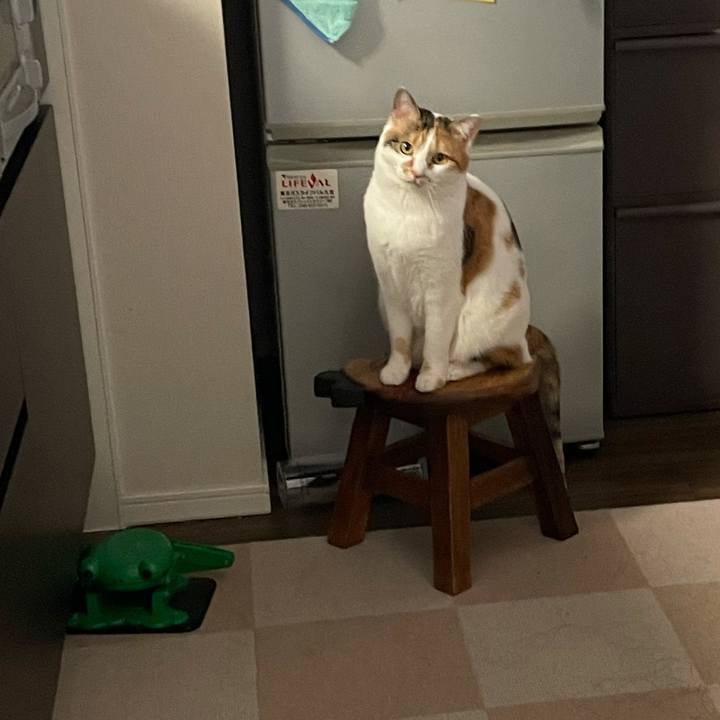 40e4dcd4 fab2 4ea4 bb1f e78241dba109 1613951304146